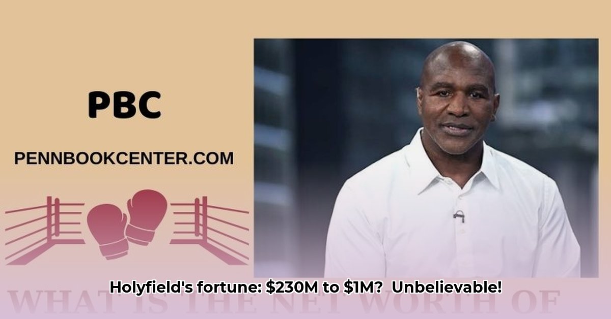 holyfield-net-worth